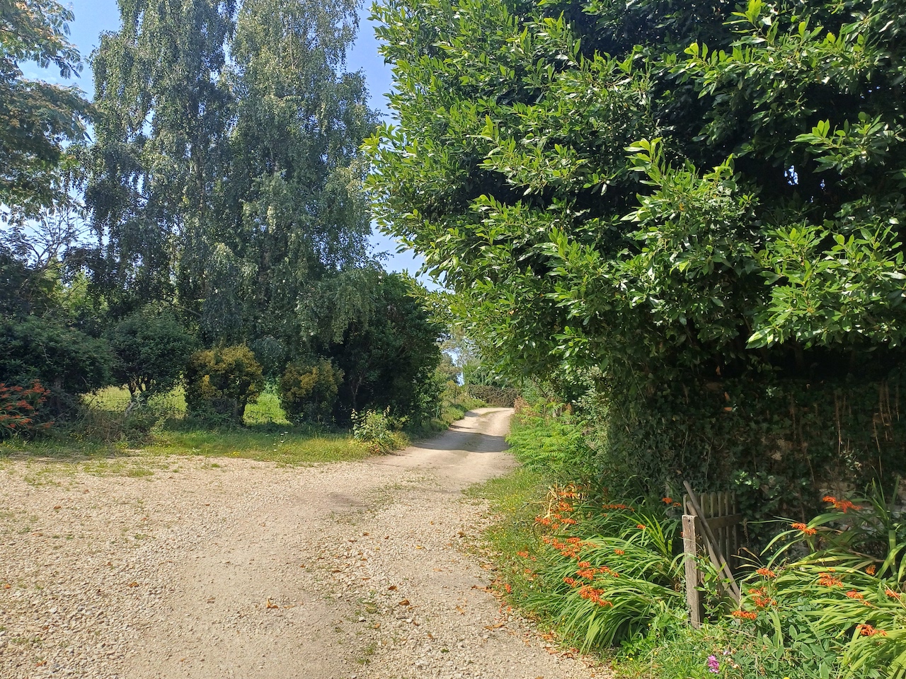 2026 01 22 baden golfe du morbihan 5 · 351 500 €